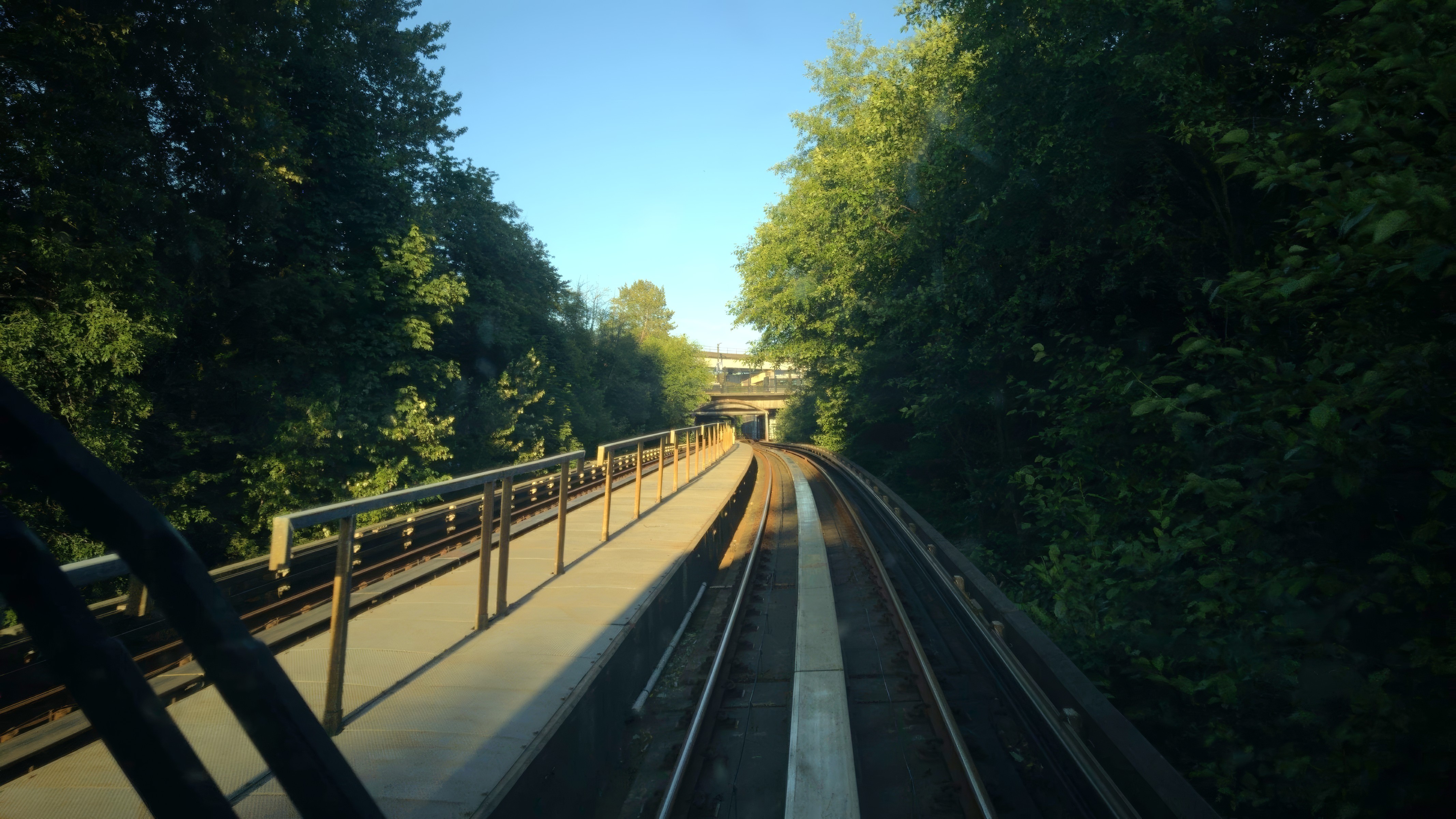 SkyTrain alternative would save hundreds of Green Timbers trees