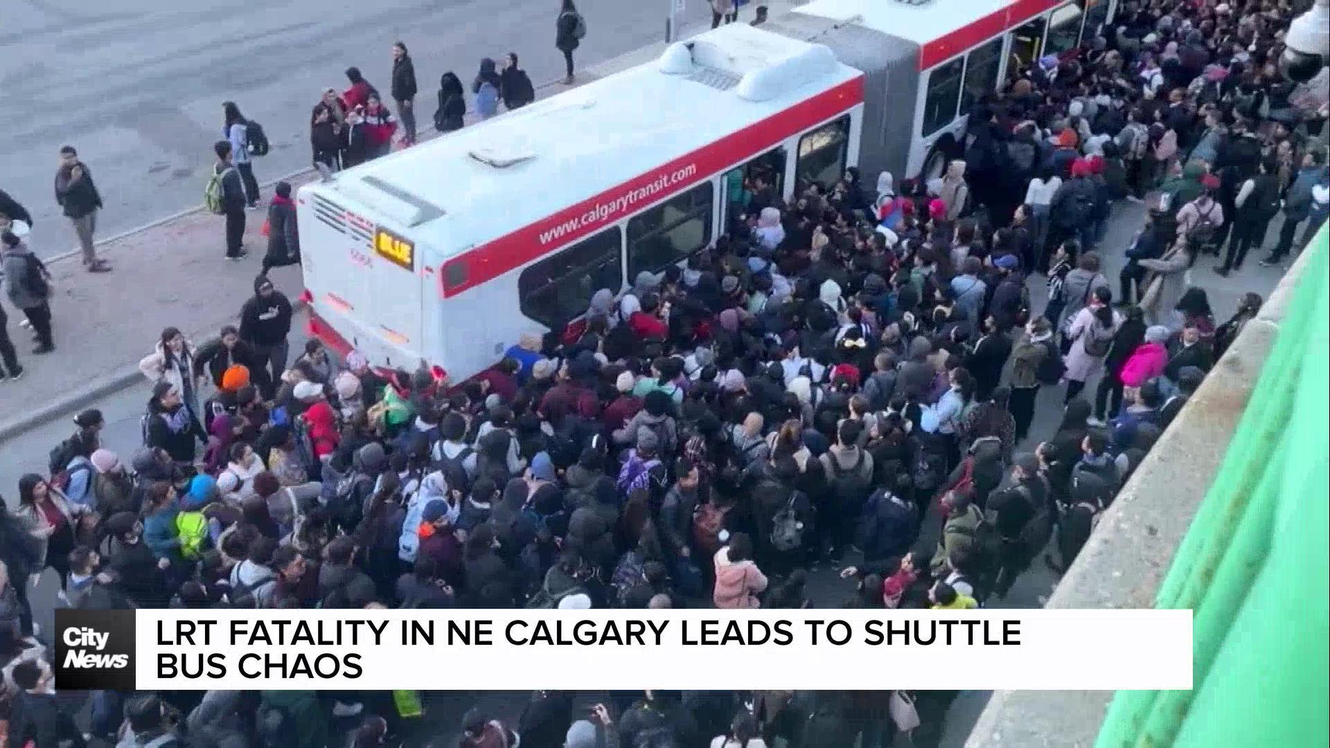 Calgary transit chaos shows LRT has no place in Surrey and Metro Vancouver